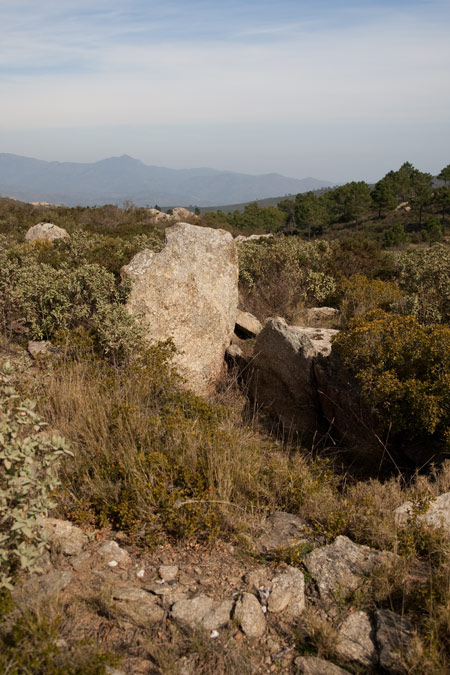 Coll de Bosc de la Margalla 3de4