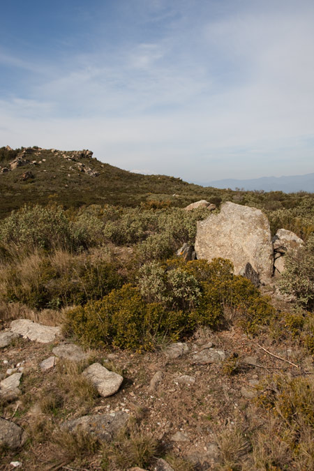 Coll de Bosc de la Margalla 4de4