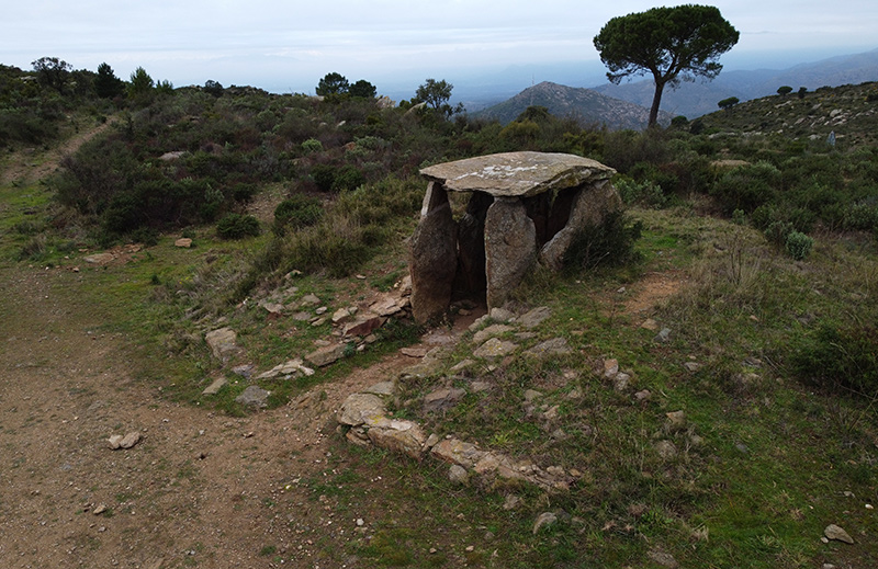 Dolmen de Vinyes Mortes I