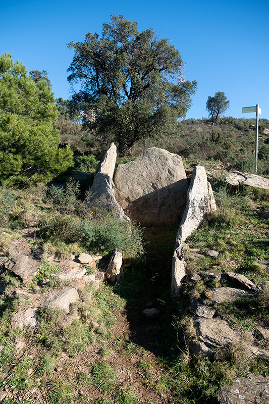 Dolmen: Vinyes Mortes II