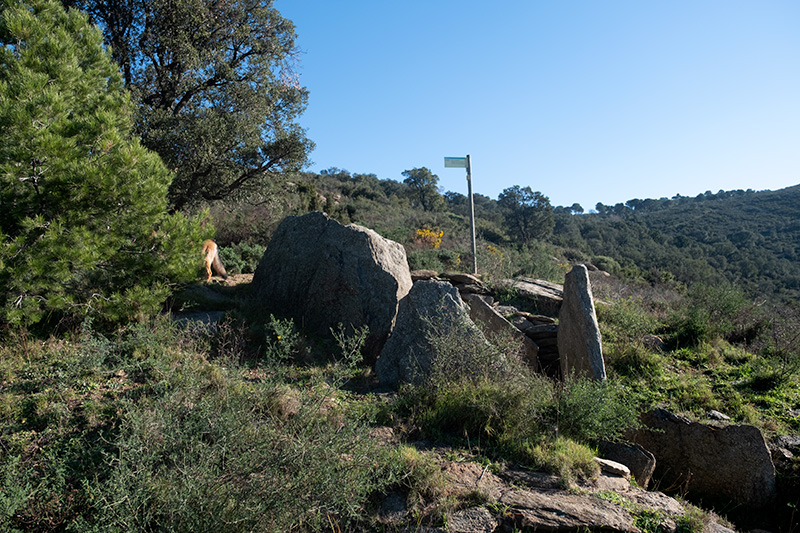 Dolmen: Vinyes Mortes II