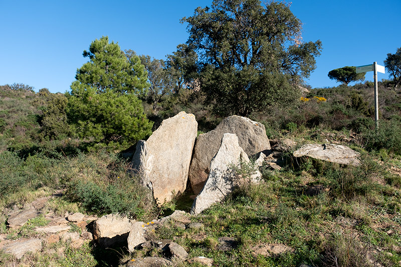 Dolmen: Vinyes Mortes II