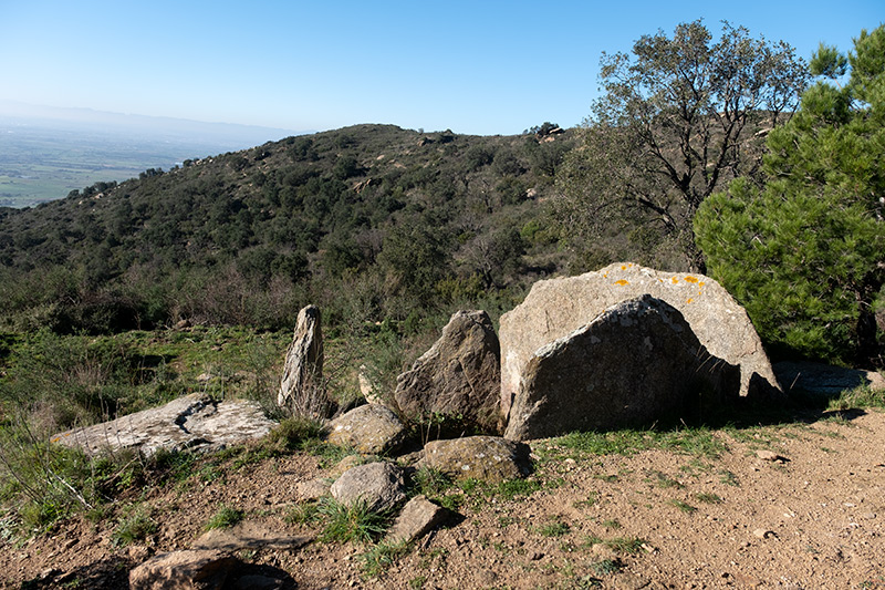 Dolmen: Vinyes Mortes II