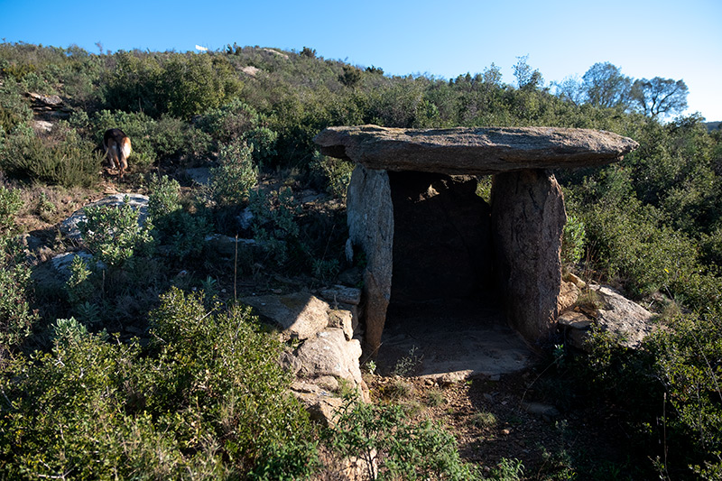 Dolmen  de Puig Margall