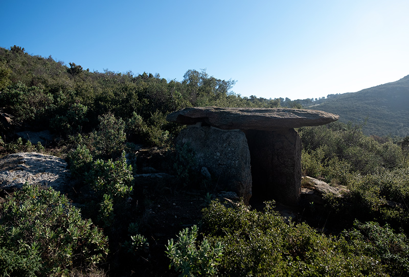 Dolmen  de Puig Margall