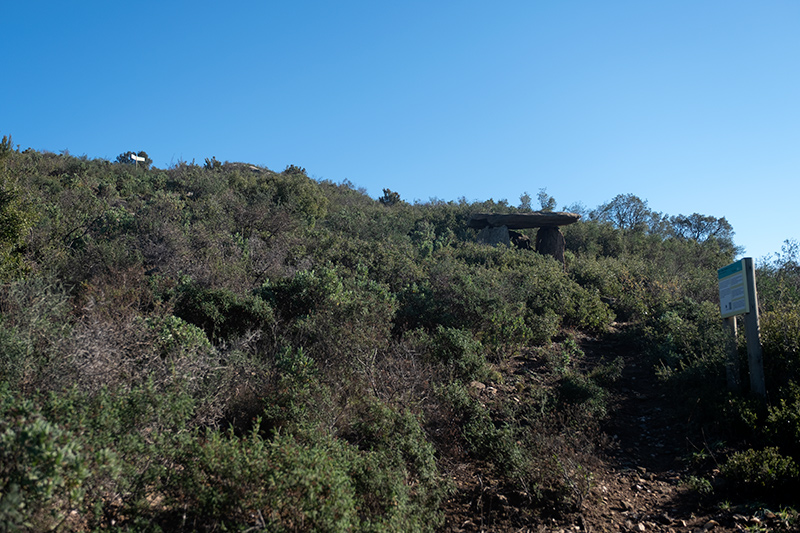 Dolmen  de Puig Margall