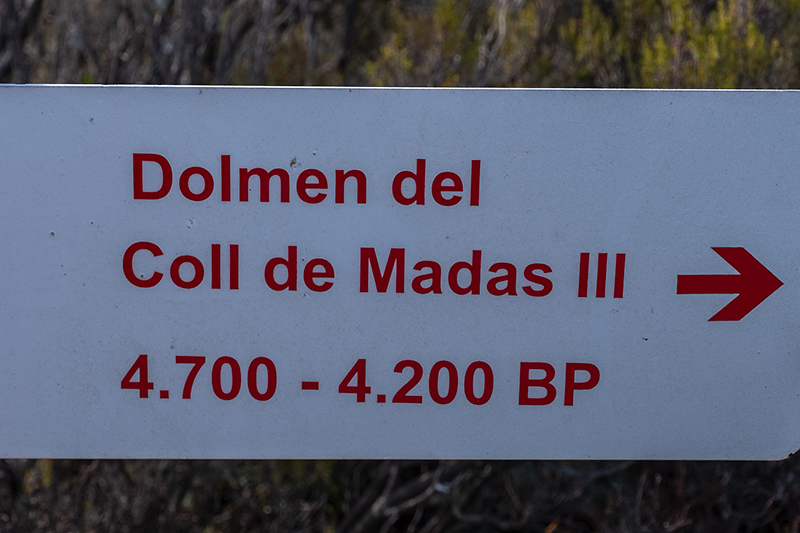 Indicador Dolmen del Coll de Madas III