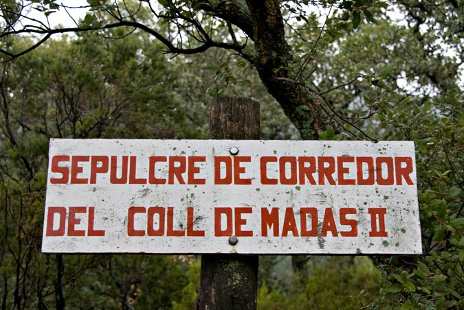 Cartell: Dolmen Coll de Madas II 1de4