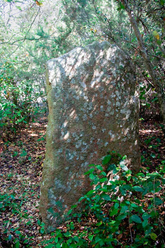 Menhir de l'Avi