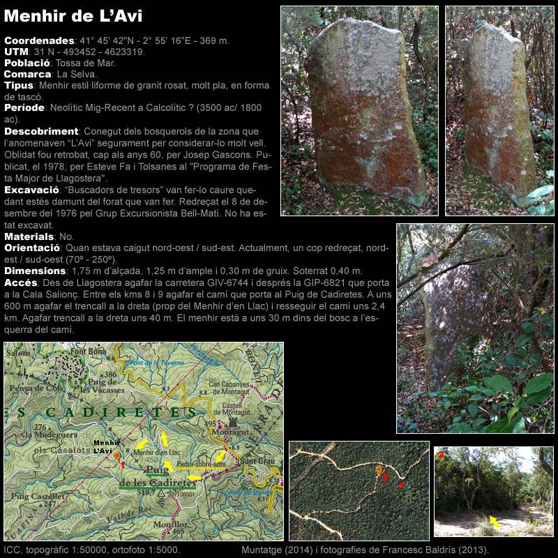 Menhir de L'Avi