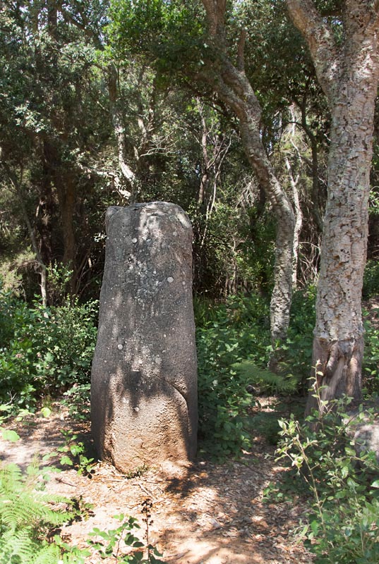 Menhir d'en LLach