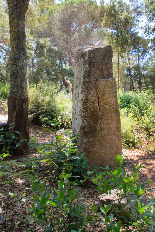 Menhir d'en LLach