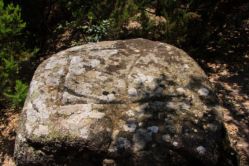 Pedra dels Sacrificis de Can Cabanyes