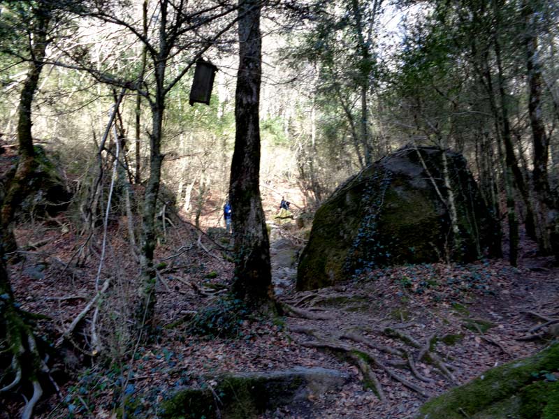 La Gravulosa.entra Osona i la Garrotxa