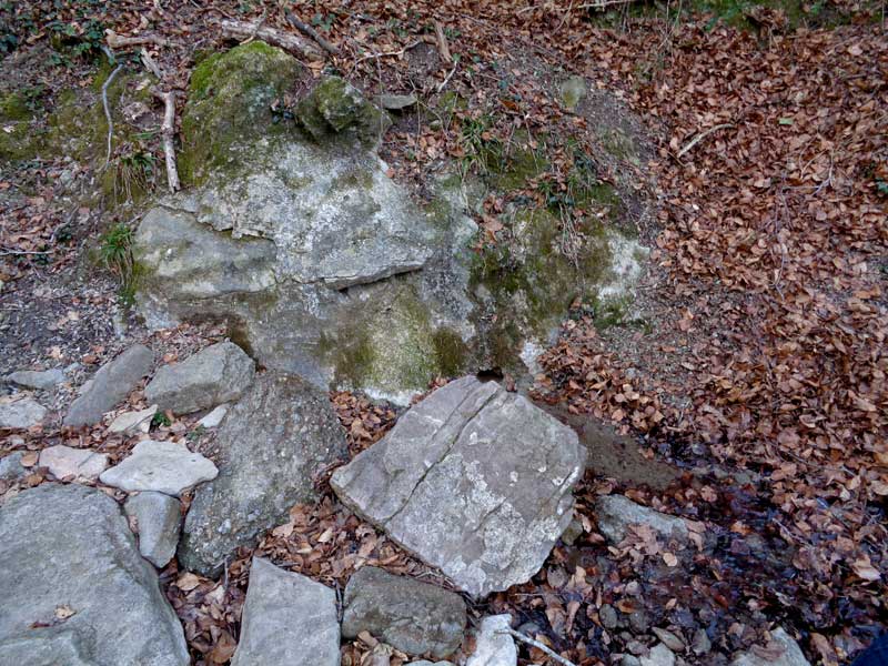 La Gravulosa.entra Osona i la Garrotxa