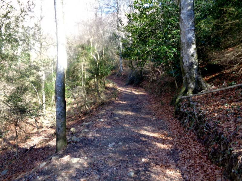 La Gravulosa.entra Osona i la Garrotxa