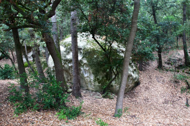 Rocas.Tavèrnoles