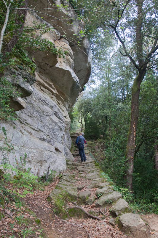 St. Feliu de Savassona