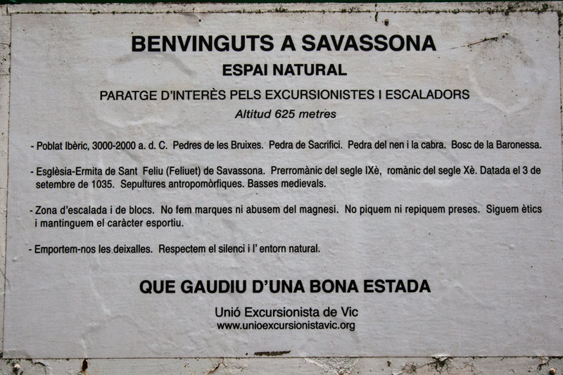 Cartell: Benvinguts a Savassona