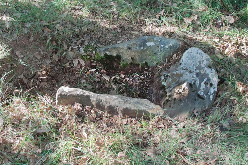 Cista de Puig Espelta