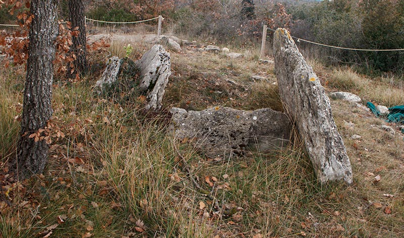 Dolmen  Del  Cuspinar