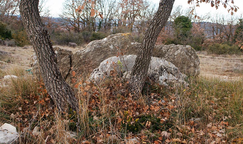 Dolmen  Del  Cuspinar