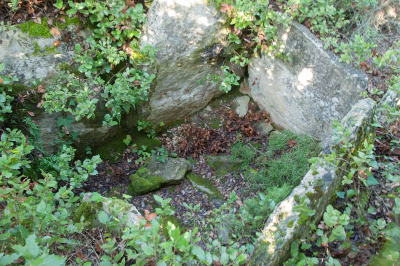 Dolmen del Gavatx 3 de 3