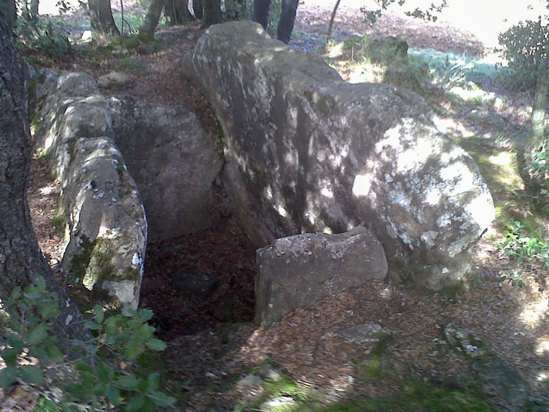 Dolmen Mas Clamí