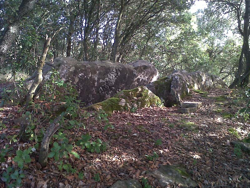 Dolmen Mas Clamí