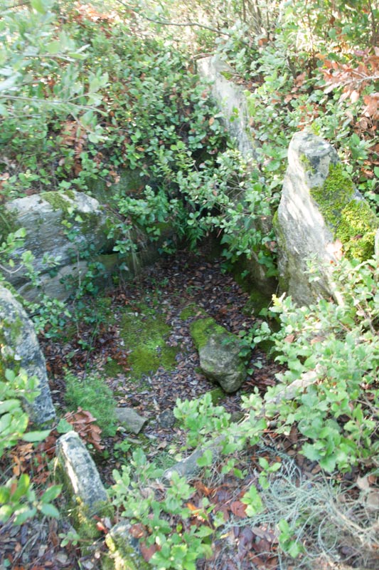 Dolmen del Gavatx 2 de 3