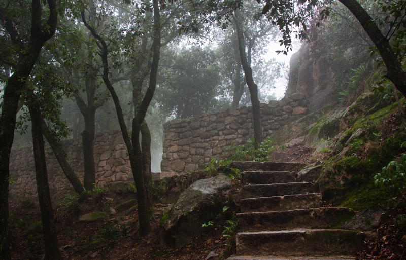 Pujant al Castell de Farners