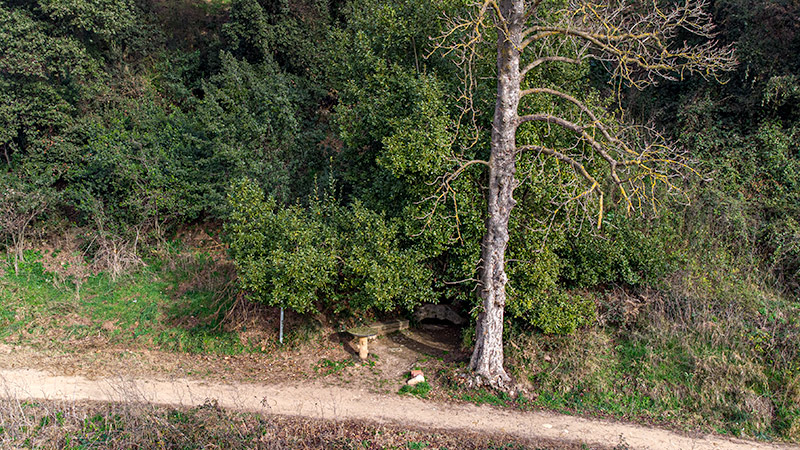 Font de Sant Mamet.