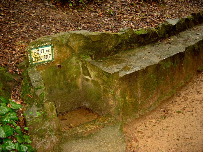 Font de LEsquirolet, Argentona