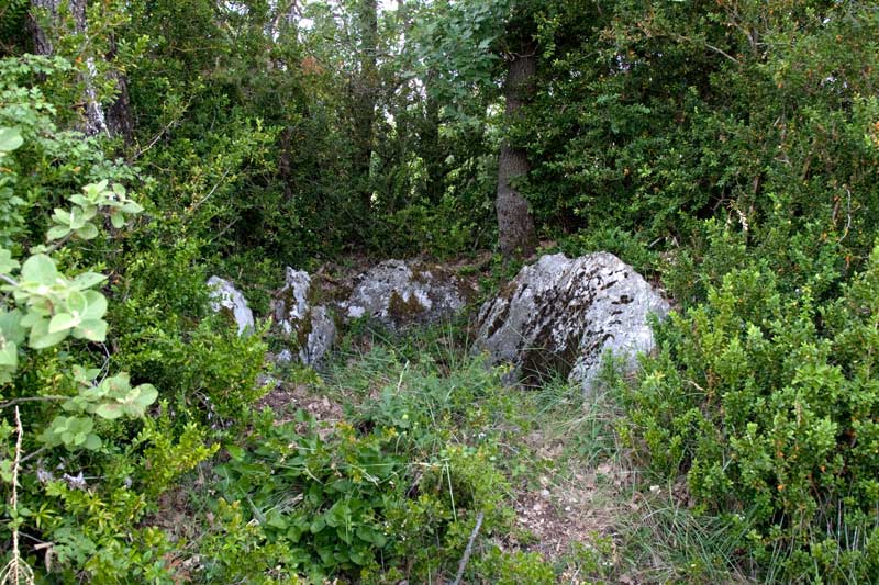 Dolmen Can Mirambell 1de2