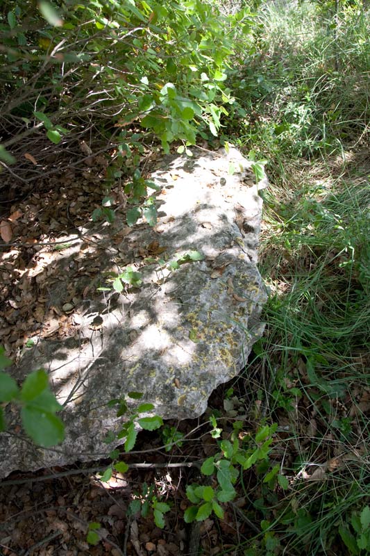 Dolmen Caixa del Moro 1de3