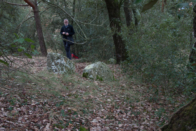 Enterraments del Bosc de Can Verdeguer