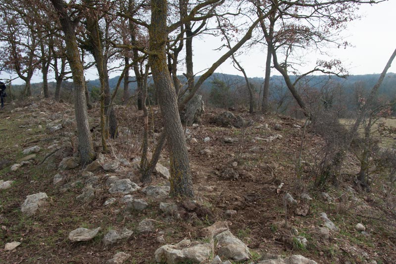 Dolmen de la Casa Nova del Verdeguer