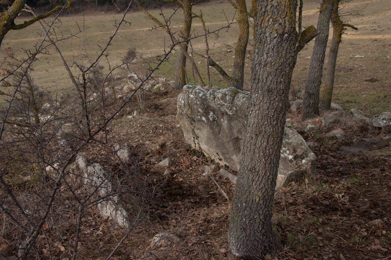 Dolmen de la Casa Nova del Verdeguer