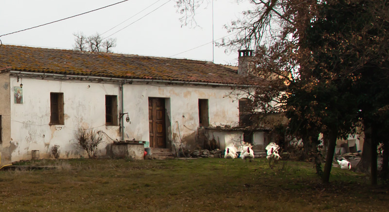 A la casa Nova del Verdeguer. 1de14