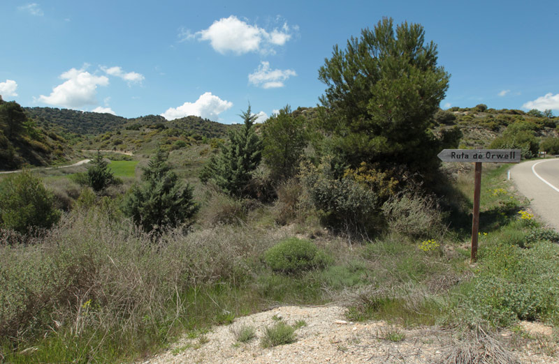 Trinxeres de la Serra d'Alcubierre.  Posició republicana.