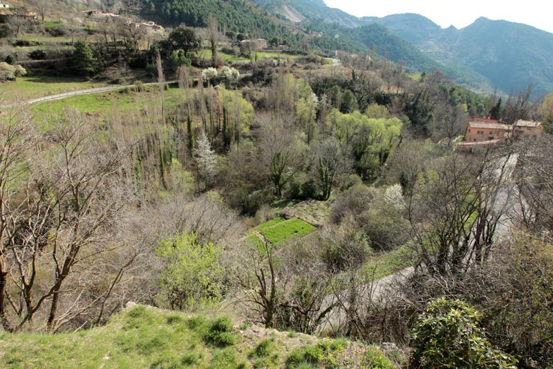 Panoràmica d'Alinya.