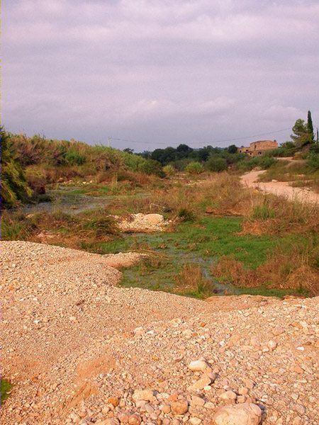 Basses de la Foia 3, Masdenverges