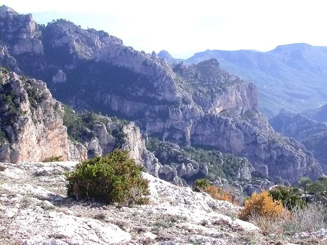 Paisatge vist de la zona de la Cova del Vidre