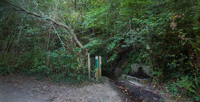 Font de la Brinxa