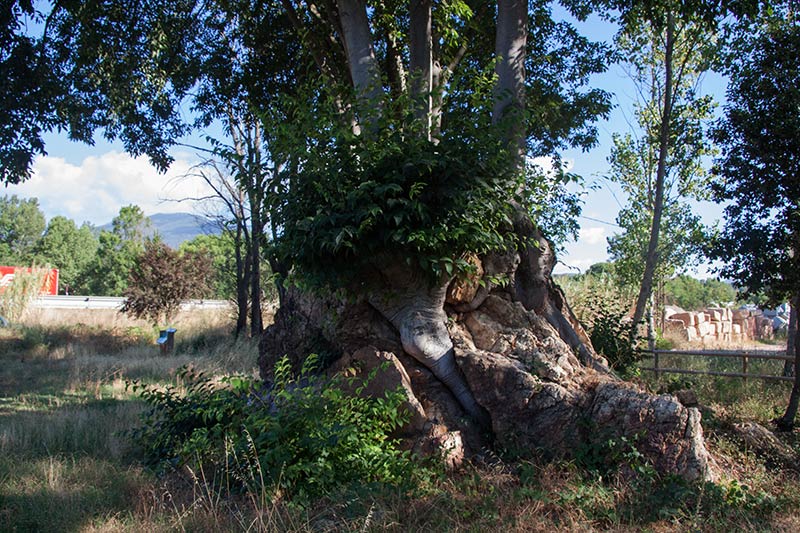 La Roca del Drac