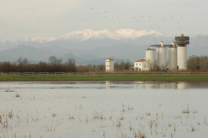 muntanyes del canigó