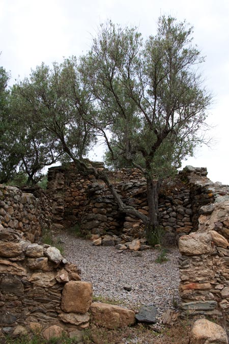 Església Pre-Romànica de Sant Pere dels Vilars. 4de6