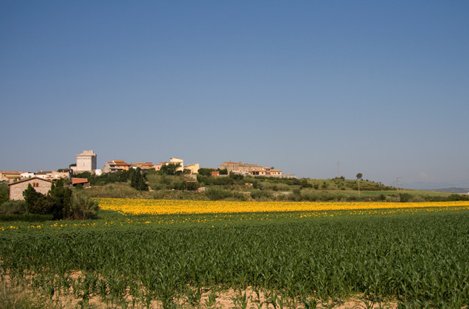 Església de Sant Marti 4de4