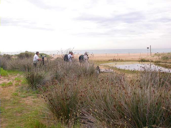 Naturalistes en acció als Muntanyans