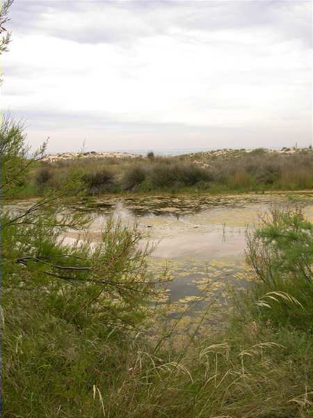 Estany del Sol 1, Els Muntanyans